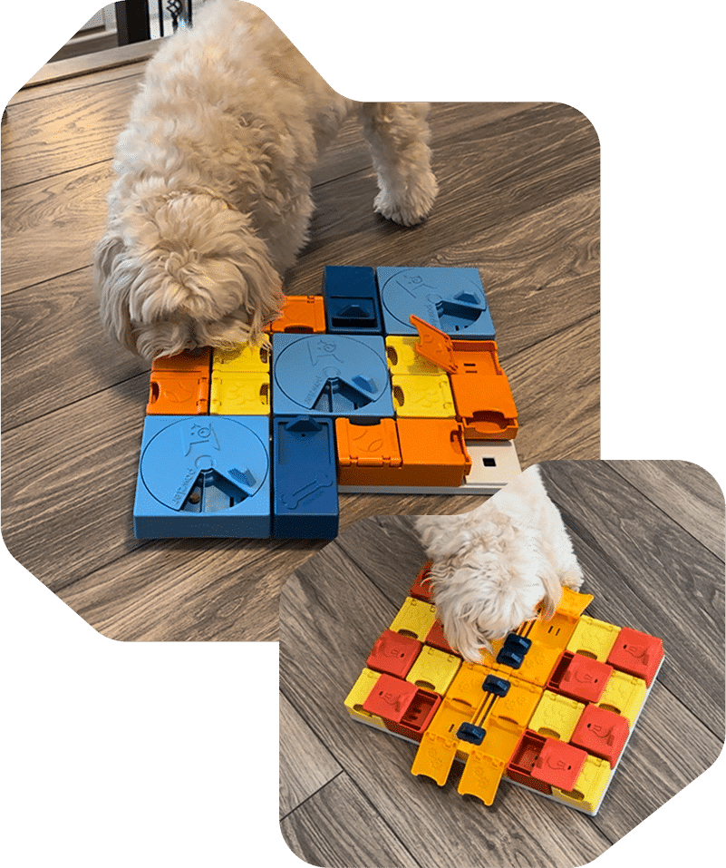 Pawzler Weekly Challenges